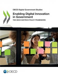 Enabling Digital Innovation in Government
