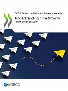 Understanding Firm Growth