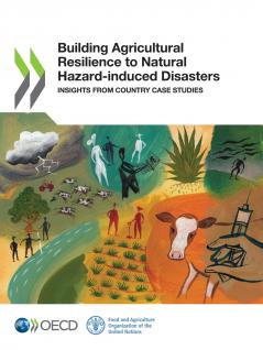 Building Agricultural Resilience to Natural Hazard-induced Disasters