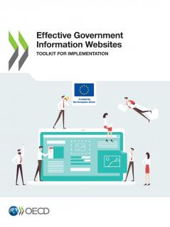 Effective Government Information Websites