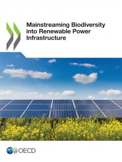Mainstreaming Biodiversity into Renewable Power Infrastructure