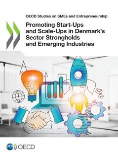 Promoting Start-Ups and Scale-Ups in Denmark's Sector Strongholds and Emerging Industries