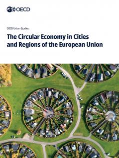 The Circular Economy in Cities and Regions of the European Union