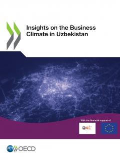 Insights on the Business Climate in Uzbekistan