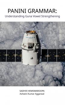 Panini Grammar