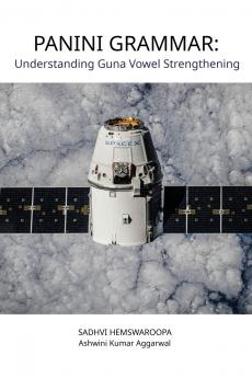 Panini Grammar