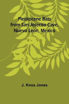 Pleistocene Bats from San Josecito Cave Nuevo Leon Mexico