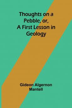 Thoughts on a Pebble or A First Lesson in Geology