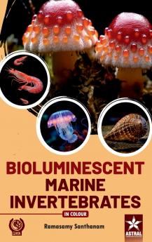 Bioluminescent Marine Invertebrates