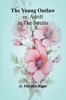 The Young Outlaw; or Adrift in the Streets