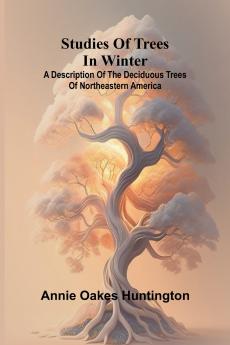 Studies of trees in winter