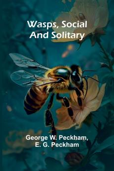 Wasps Social And Solitary