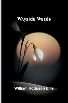 Wayside Weeds