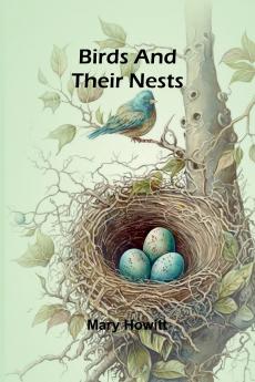 Birds and their nests