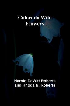 Colorado Wild Flowers