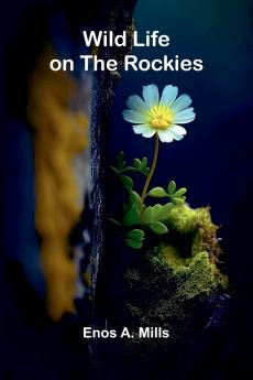 Wild Life on the Rockies