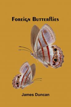 Foreign Butterflies