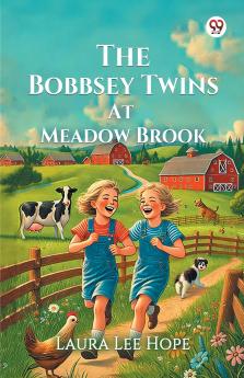The Bobbsey Twins At Meadow Brook