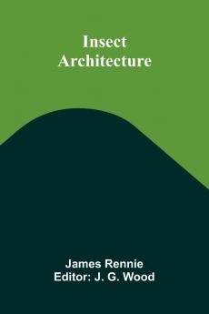 Insect Architecture