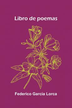 Libro De Poemas