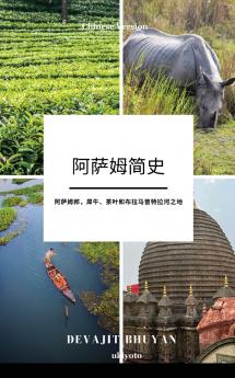 A Brief History of Assam Chinese Version | 阿萨姆邦，犀牛、茶叶和布拉马普特拉河之地