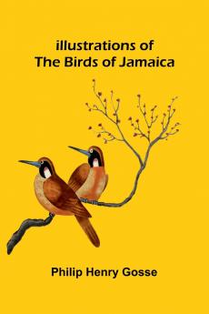 Illustrations Of The Birds Of Jamaica