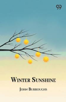 Winter Sunshine