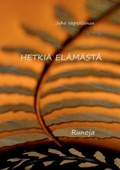 Hetkiä elämästä