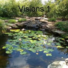 Visions 1