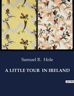 A LITTLE TOUR  IN IRELAND