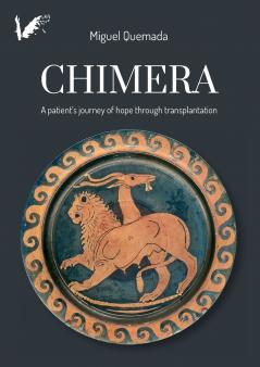 Chimera. A patient's journey of hope through transplantation