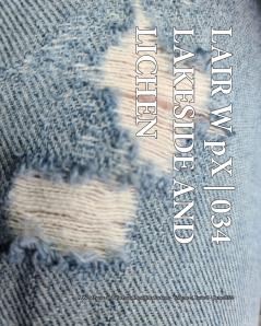 LAIR W pX 035 | Lakeside and Lichen