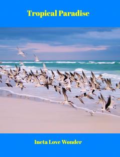Tropical Paradise