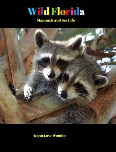 Wild Florida