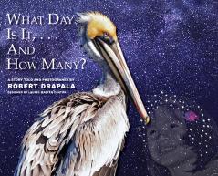 What  Day Is It and How Many?