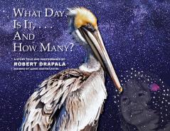 What  Day Is It and How Many?