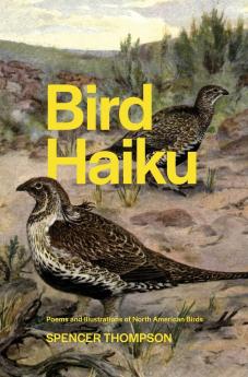 Bird Haiku