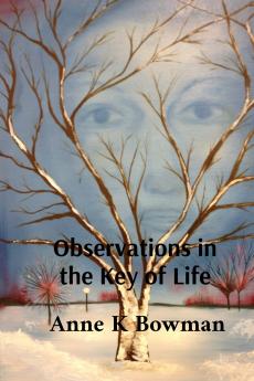 Observations in the Key of Life