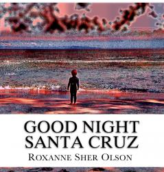 Good Night Santa Cruz