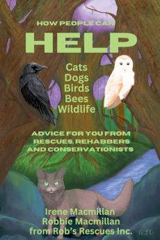 How People Can Help Cats Dogs Birds Bees and Wildlife