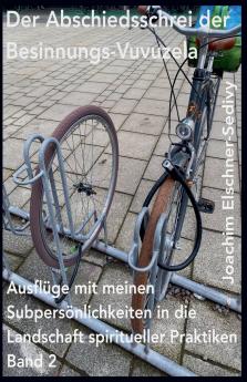 Der Abschiedsschrei der Besinnungs-Vuvuzela