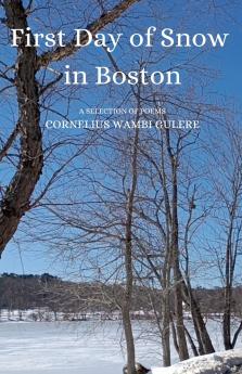 First Day of Snow in Boston