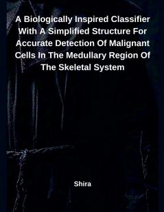 A Biologically Inspired Classifier With A Simplified Structure For Accurate Detection Of Malignant Cells In The Medullary Region Of The Skeletal System