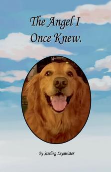 The Angel I Once Knew