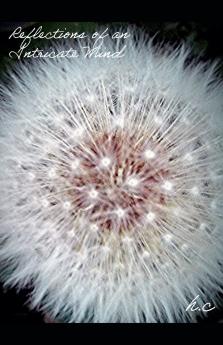 Reflections of an Intricate Mind