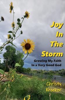Joy In The Storm