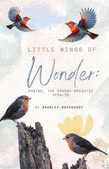 Little Wings of Wonder