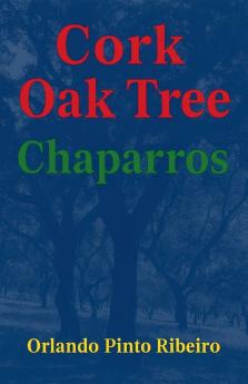 Cork Oak Tree