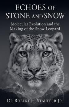 Echoes of Stone and Snow