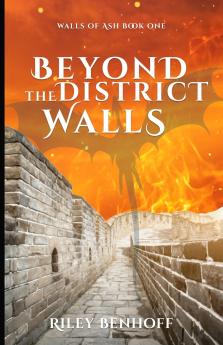 Beyond the District Walls